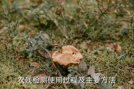 檢驗(yàn)農(nóng)藥殘留用什么方法,如何檢驗(yàn)韭菜農(nóng)藥殘留