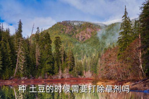 秋季土豆打什么農(nóng)藥,土豆用什么農(nóng)藥可以提高產(chǎn)量