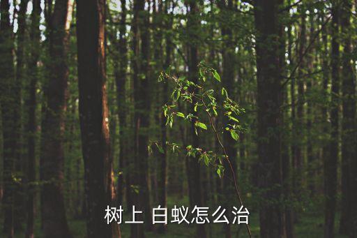樹上 白蟻怎么治