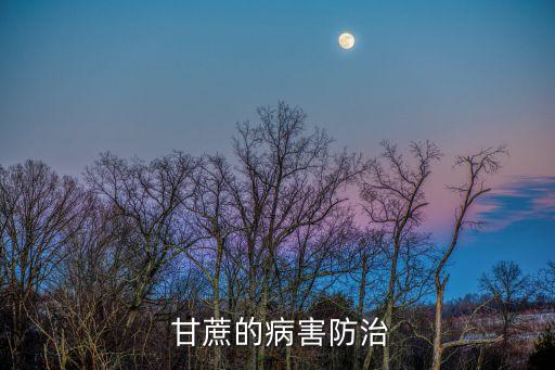  甘蔗的病害防治