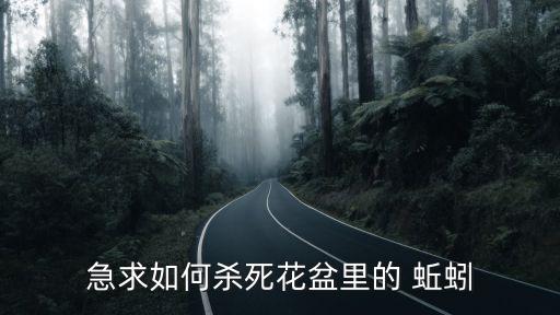 急求如何殺死花盆里的 蚯蚓