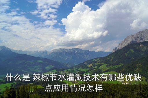 什么是 辣椒節水灌溉技術有哪些優缺點應用情況怎樣