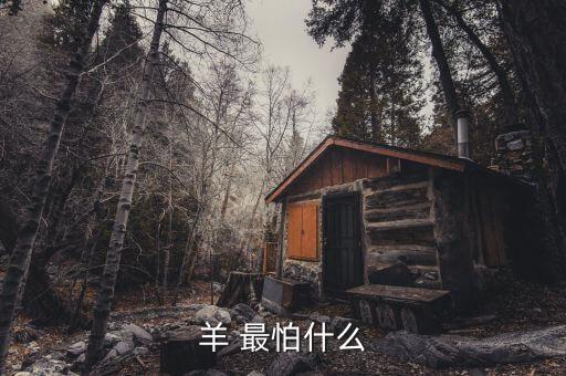 羊 最怕什么