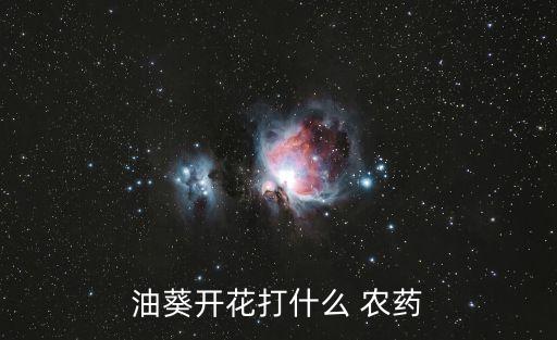 油葵開花打什么 農藥