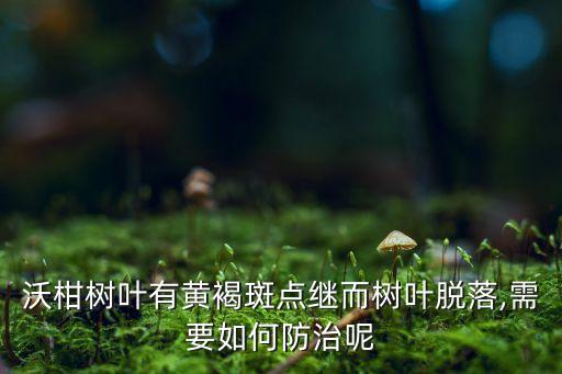 柑橘黃斑病用什么農(nóng)藥好,八月柑橘打什么農(nóng)藥
