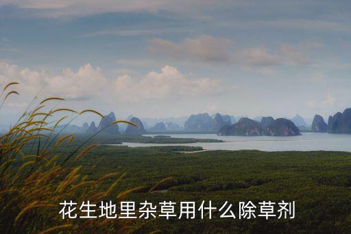 花生葉子有什么效果的農藥,葉子有油用什么農藥