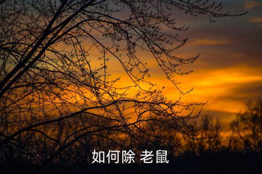 什么農藥老鼠刺眼好用