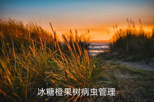 橙樹被蟲子吃用什么農藥,樹里面可以吃的蟲子叫什么