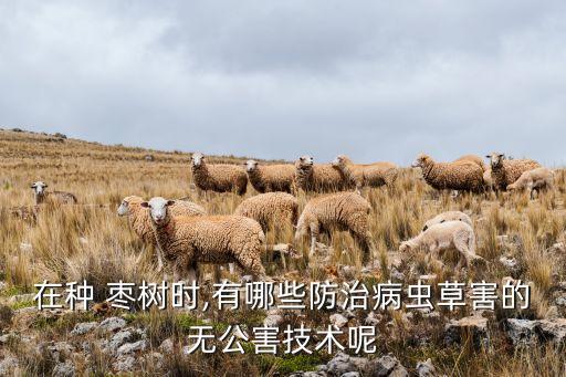 院里長棗樹用什么農(nóng)藥殺滅