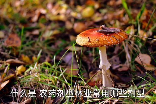 農藥屬于什么液體類型的藥,666屬于什么類型農藥