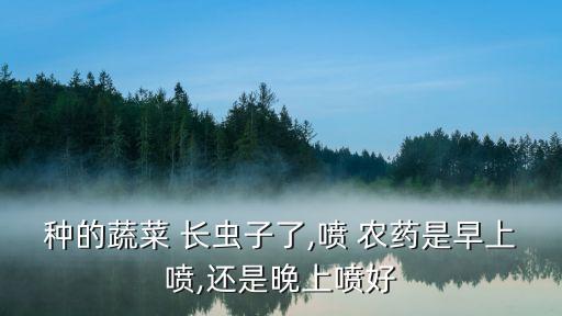 種的蔬菜 長蟲子了,噴 農藥是早上噴,還是晚上噴好