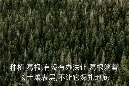什么農藥能殺死葛根蟲子,葛根用什么除草劑殺死