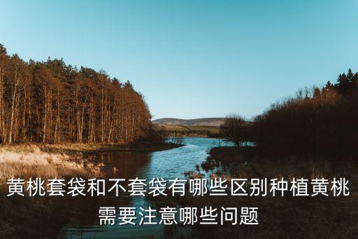 黃桃用什么農藥防蟲害,蟲害農藥什么藥好?