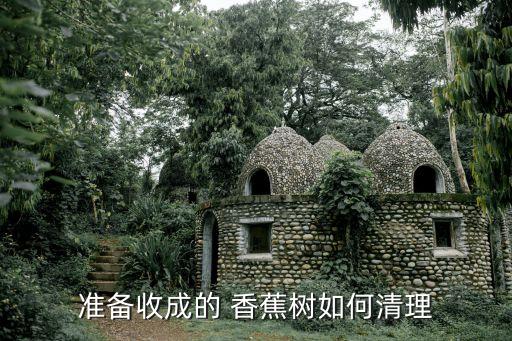 香蕉樹(shù)用什么農(nóng)藥殺死蟲(chóng),什么農(nóng)藥能殺死香蕉樹(shù)