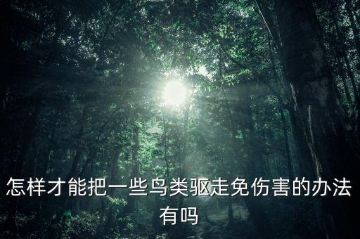 什么農(nóng)藥殺小鳥最有效,殺蚊用什么農(nóng)藥最有效