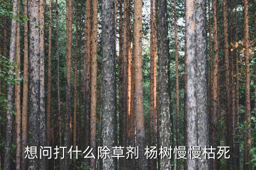 ,楊樹有什么農(nóng)藥能毒死
