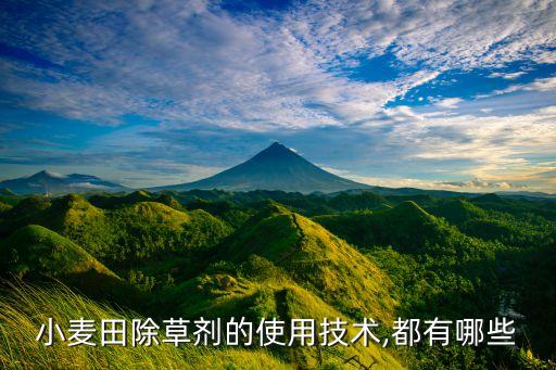 小麥田除草劑的使用技術,都有哪些