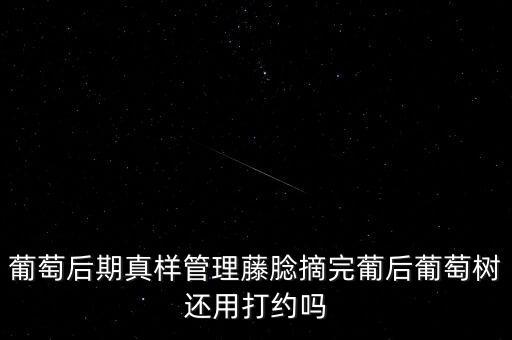 匯葡農(nóng)藥防治什么病,果實(shí)蠅用什么農(nóng)藥防治?