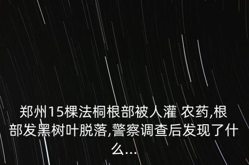鄭州15棵法桐根部被人灌 農藥,根部發黑樹葉脫落,警察調查后發現了什么...