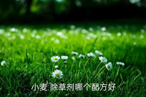 小麥用什么農藥能除草,野小麥除草什么時間合適