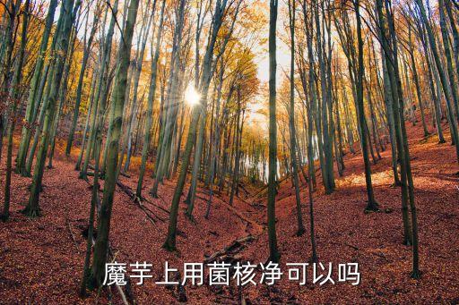 魔芋葉枯病打什么農藥