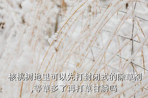  核桃樹地里可以先打封閉式的除草劑,等草多了再打草甘膦嗎