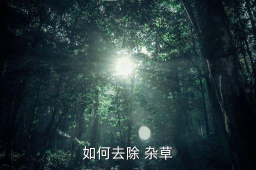 如何去除 雜草