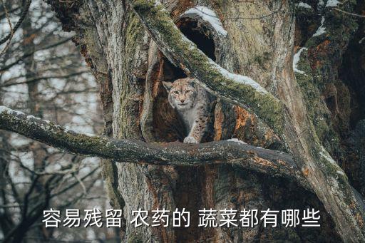 什么蔬菜除農(nóng)藥最好,蔬菜去農(nóng)藥最好方法