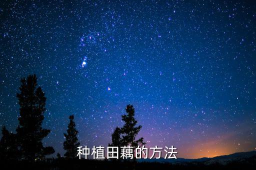 藕田用什么農藥最好呢,果樹打什么農藥最好