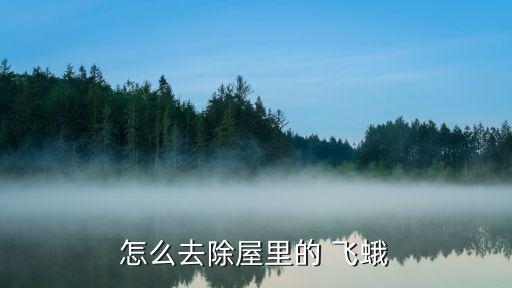 什么農藥可以消滅飛蛾,菜地里的飛蛾用什么消滅
