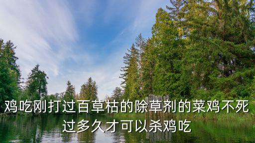 雞吃剛打過百草枯的除草劑的菜雞不死過多久才可以殺雞吃