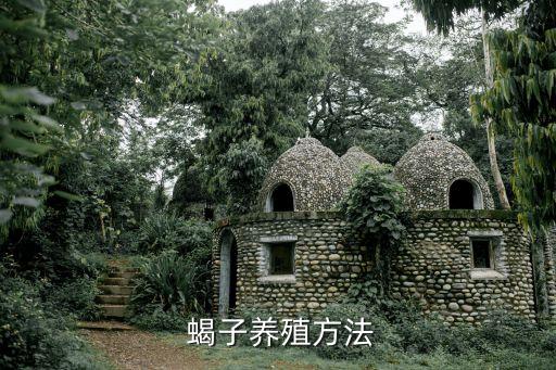  蝎子養殖方法