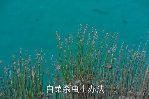 白菜用什么農藥沒毒,白菜打農藥什么時間最好