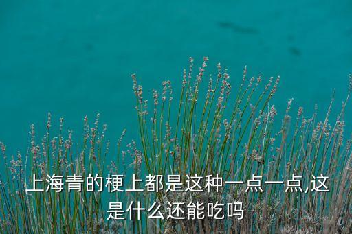 上海青為什么多農藥,炒上海青一股農藥味