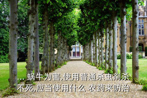 蝸牛吃白菜用什么農(nóng)藥,白菜有蝸牛用什么方法治療