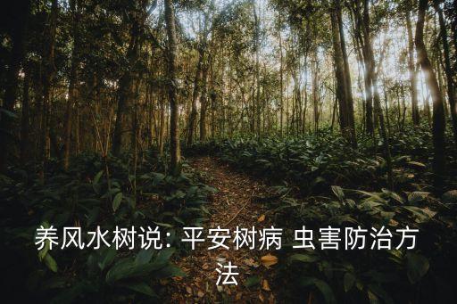養(yǎng)風(fēng)水樹說: 平安樹病 蟲害防治方法
