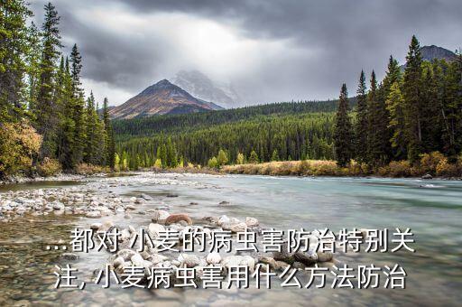 ...都對 小麥的病蟲害防治特別關注, 小麥病蟲害用什么方法防治