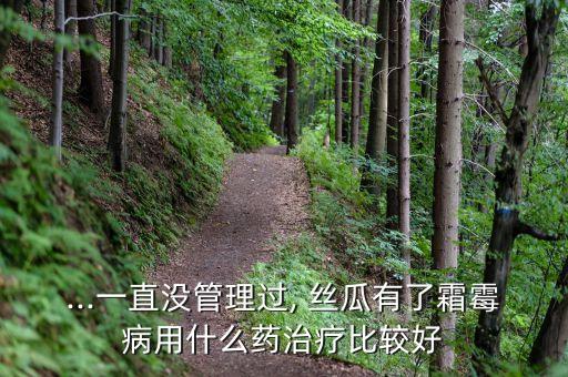 ...一直沒管理過, 絲瓜有了霜霉病用什么藥治療比較好