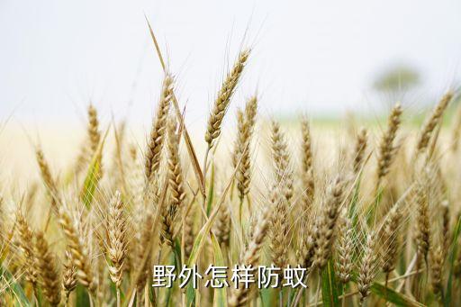 野外怎樣防蚊
