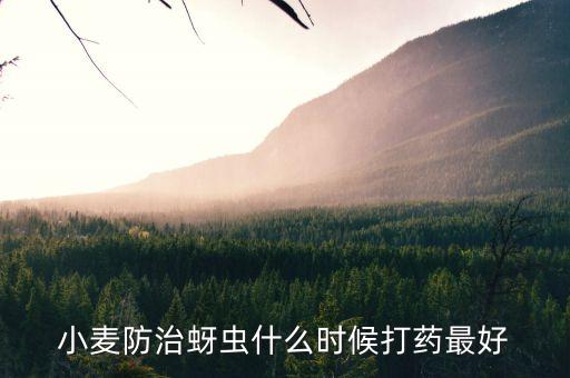 小麥防治蚜蟲(chóng)什么時(shí)候打藥最好