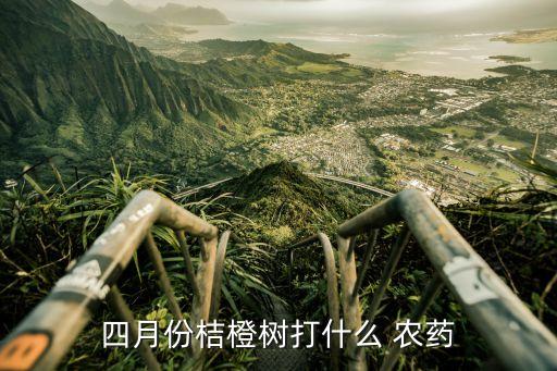 四月份桔橙樹打什么 農藥
