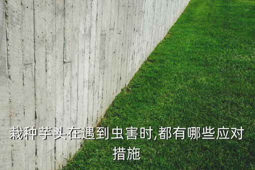 香芋爛打什么農(nóng)藥好,香芋用什么農(nóng)藥最好