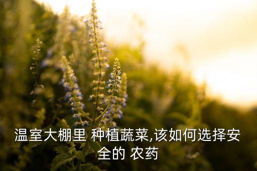 溫室大棚里 種植蔬菜,該如何選擇安全的 農藥