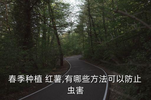 紅薯苗噴什么農藥好用點,什么樣的紅薯沒農藥