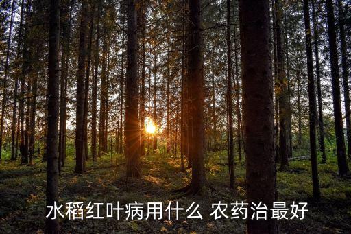 水稻農藥什么時間打效果最好,水稻糜爛用什么農藥