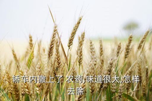 什么辦法消除農藥異味,出汗有異味如何快速消除辦法