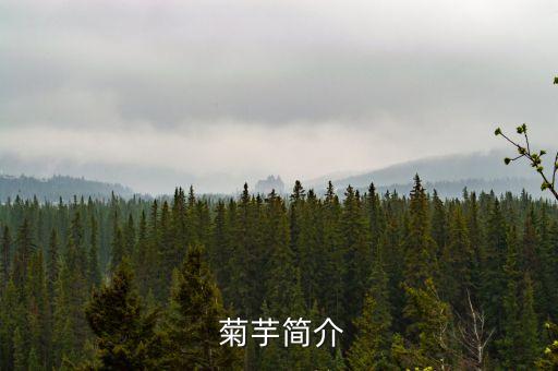  菊芋簡介