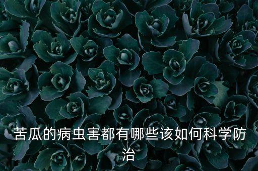 苦瓜可以和什么打汁,苦瓜不能打什么農藥