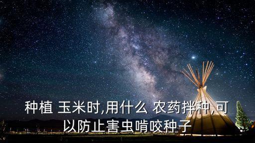 玉米田需要什么農藥,玉米治蟲用什么農藥好