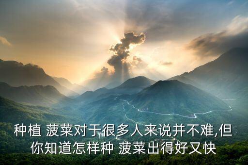 種植 菠菜對于很多人來說并不難,但你知道怎樣種 菠菜出得好又快